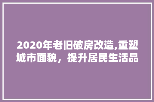 2020年老旧破房改造,重塑城市面貌，提升居民生活品质